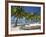 Belize, Laughing Bird Caye, Canoe Filled with Coconut Husks on Beach-Jane Sweeney-Framed Photographic Print