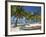 Belize, Laughing Bird Caye, Canoe Filled with Coconut Husks on Beach-Jane Sweeney-Framed Photographic Print