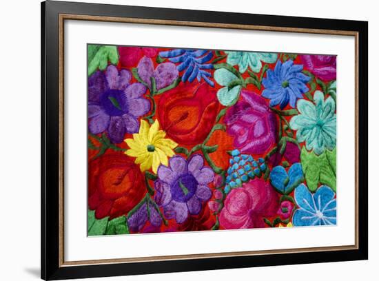 Belize, Placencia. Detail of Traditional Embroidery Floral Textile-Cindy Miller Hopkins-Framed Photographic Print