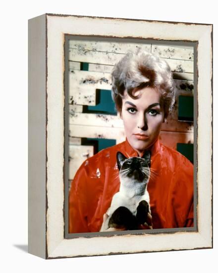 BELL, BOOK AND CANDLE, 1958 directed by RICHARD QUINE Kim Novak (photo)-null-Framed Stretched Canvas