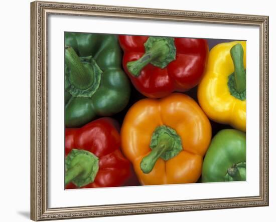 Bell Peppers, Washington, USA-Jamie & Judy Wild-Framed Photographic Print