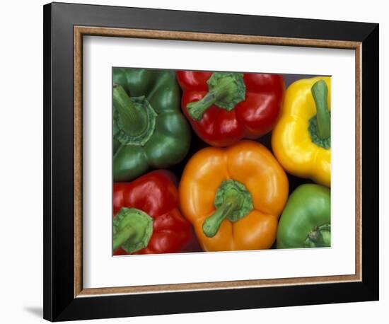 Bell Peppers, Washington, USA-Jamie & Judy Wild-Framed Photographic Print