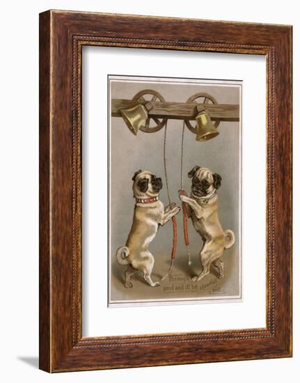 Bell Ringing Pug Dogs-null-Framed Photographic Print