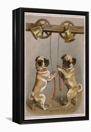 Bell Ringing Pug Dogs-null-Framed Premier Image Canvas