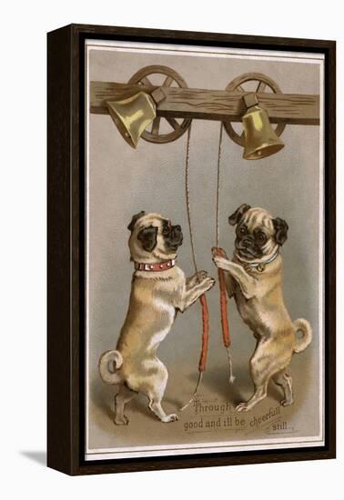 Bell Ringing Pug Dogs-null-Framed Premier Image Canvas