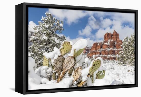 Bell Rock after a snow storm near Sedona, Arizona, United States of America, North America-Michael Nolan-Framed Premier Image Canvas