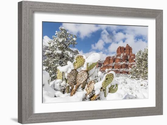 Bell Rock after a snow storm near Sedona, Arizona, United States of America, North America-Michael Nolan-Framed Photographic Print