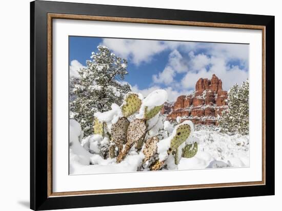 Bell Rock after a snow storm near Sedona, Arizona, United States of America, North America-Michael Nolan-Framed Photographic Print