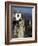 Bell Tower in Village on Steep Limestone Crag, Guadalest, Costa Blanca, Valencia Region, Spain-Tony Waltham-Framed Photographic Print