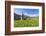 Bell tower surrounded by wildflowers and meadows in spring, Luzein, Switzerland-Roberto Moiola-Framed Photographic Print