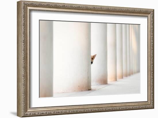 Bella - and the Pillars of the Earth...-Heike Willers-Framed Giclee Print