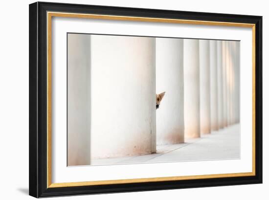 Bella - and the Pillars of the Earth...-Heike Willers-Framed Giclee Print