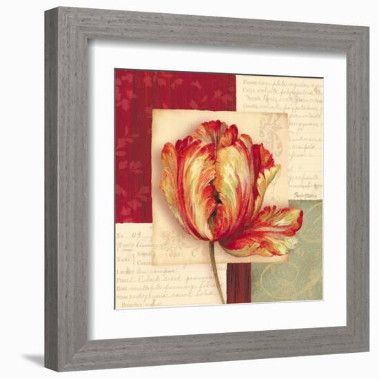 Bella Donna I-Pamela Gladding-Framed Art Print