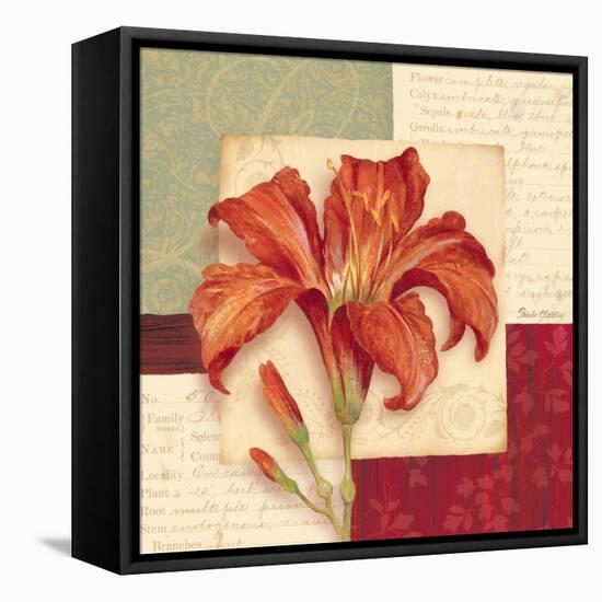 Bella Donna II-Pamela Gladding-Framed Stretched Canvas