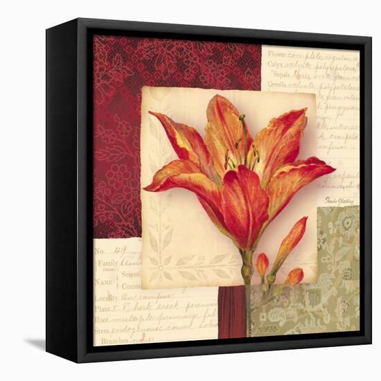 Bella Donna IV-Pamela Gladding-Framed Stretched Canvas