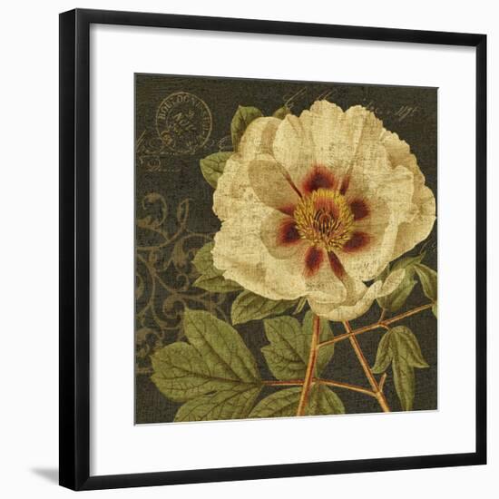 Bella-Nora I-Suzanne Nicoll-Framed Art Print