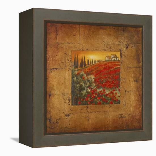 Bella Toscana II-Patricia Pinto-Framed Stretched Canvas