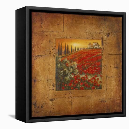 Bella Toscana II-Patricia Pinto-Framed Stretched Canvas
