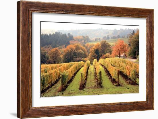 Bella Vida I-Maureen Love-Framed Photographic Print