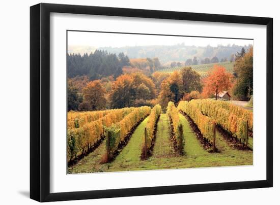 Bella Vida I-Maureen Love-Framed Photographic Print