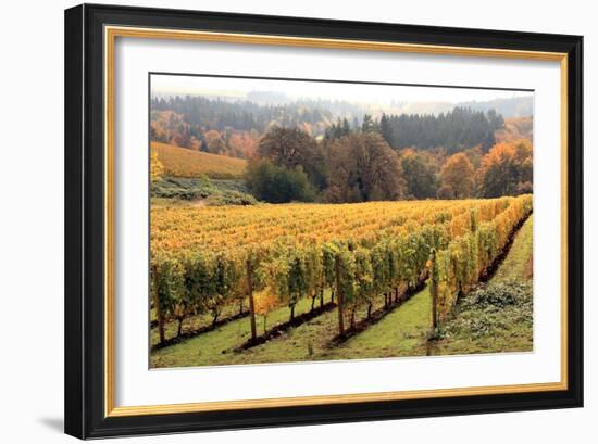 Bella Vida II-Maureen Love-Framed Photographic Print