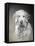 Bella-Rusty Frentner-Framed Premier Image Canvas