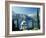 Bellagio, Lake Como, Italian Lakes, Italy, Europe-James Emmerson-Framed Photographic Print