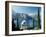 Bellagio, Lake Como, Italian Lakes, Italy, Europe-James Emmerson-Framed Photographic Print