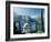 Bellagio, Lake Como, Italian Lakes, Italy, Europe-James Emmerson-Framed Photographic Print