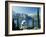 Bellagio, Lake Como, Italian Lakes, Italy, Europe-James Emmerson-Framed Photographic Print