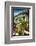 Bellagio Street View, Lake Como, Italy-George Oze-Framed Photographic Print