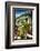 Bellagio Street View, Lake Como, Italy-George Oze-Framed Photographic Print