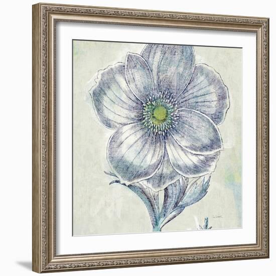 Belle Fleur II-Sue Schlabach-Framed Art Print