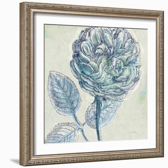 Belle Fleur III-Sue Schlabach-Framed Art Print