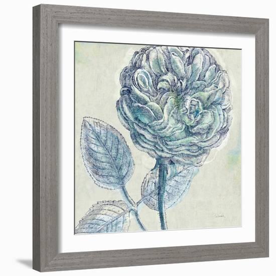 Belle Fleur III-Sue Schlabach-Framed Art Print