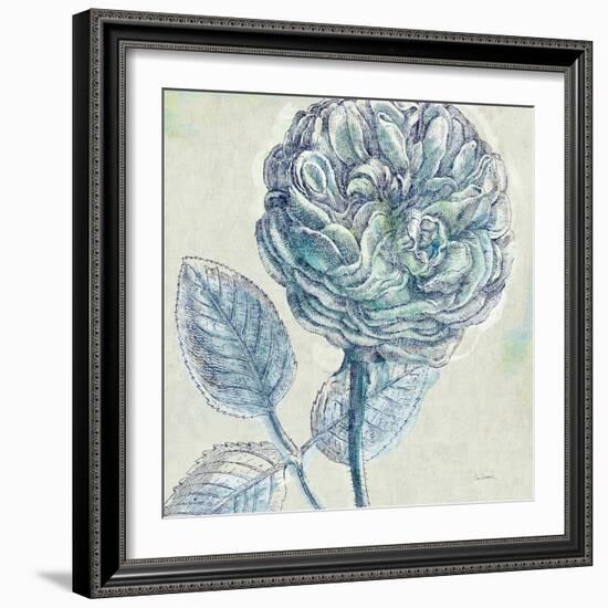 Belle Fleur III-Sue Schlabach-Framed Art Print