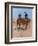 Belle Mckeever and Lt. Edgar Wheelock, C.1899-Frederic Remington-Framed Giclee Print