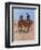 Belle Mckeever and Lt. Edgar Wheelock, C.1899-Frederic Remington-Framed Giclee Print