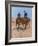 Belle Mckeever and Lt. Edgar Wheelock, C.1899-Frederic Remington-Framed Giclee Print