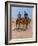 Belle Mckeever and Lt. Edgar Wheelock, C.1899-Frederic Remington-Framed Giclee Print