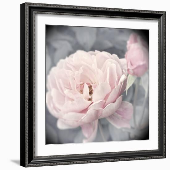 Belle Rose I-Linda Wood-Framed Giclee Print