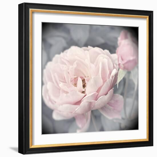 Belle Rose I-Linda Wood-Framed Giclee Print