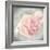 Belle Rose II-Linda Wood-Framed Giclee Print