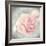 Belle Rose II-Linda Wood-Framed Giclee Print