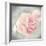 Belle Rose II-Linda Wood-Framed Giclee Print