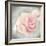 Belle Rose II-Linda Wood-Framed Giclee Print