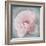 Belle Rose III-Linda Wood-Framed Giclee Print