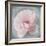 Belle Rose III-Linda Wood-Framed Giclee Print