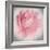 Belle Rose IV-Linda Wood-Framed Giclee Print