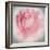 Belle Rose IV-Linda Wood-Framed Giclee Print